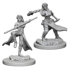 D&D Nolzur's Marvelous Unpainted Minis: Human Female Monks (pack of 2)